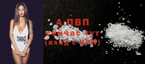 молекула духа Няндома