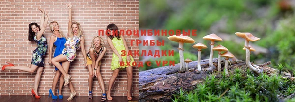 ALPHA-PVP Осинники