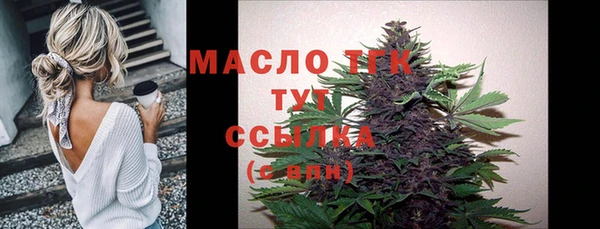 молекула духа Няндома