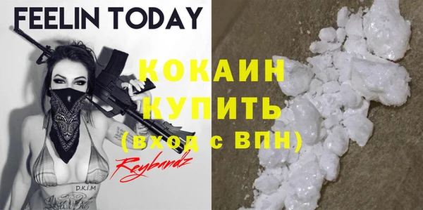 молекула духа Няндома