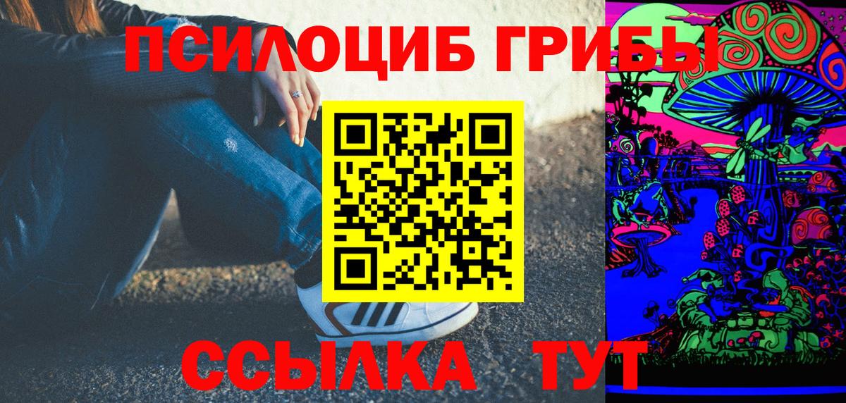Псилоцибиновые грибы Psilocybine cubensis Новотроицк