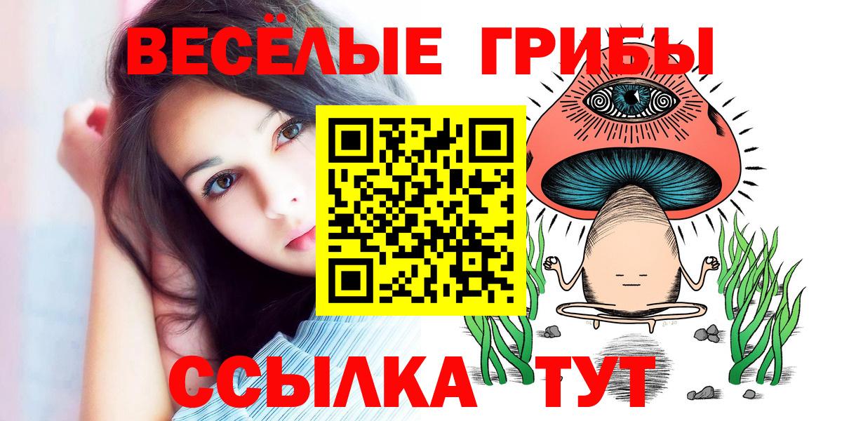 Галлюциногенные грибы Psilocybine cubensis Новотроицк