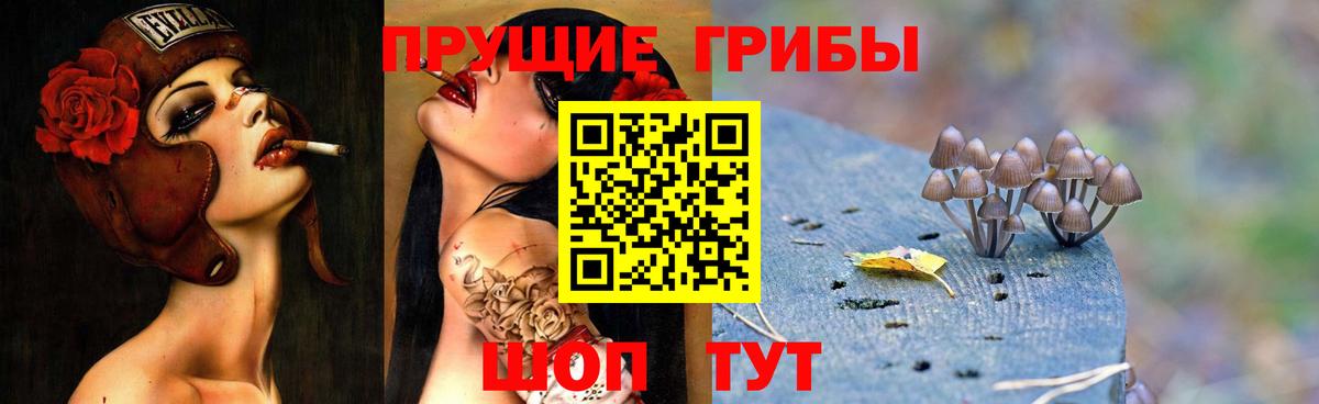 Галлюциногенные грибы прущие грибы  Псилоцибиновые грибы Psilocybe  Новотроицк 